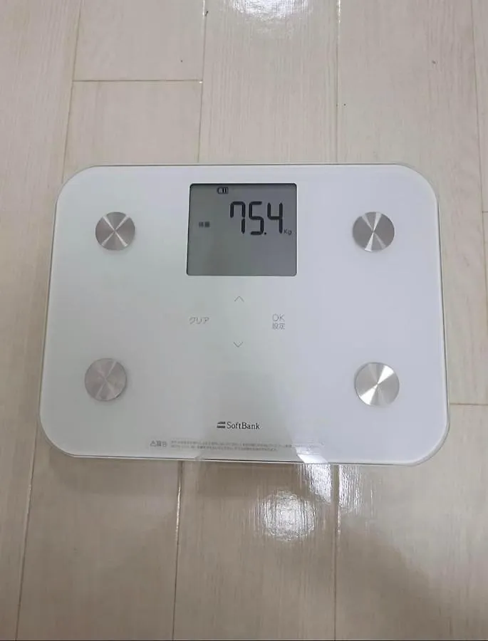 桜abc Villa Osaka Japan